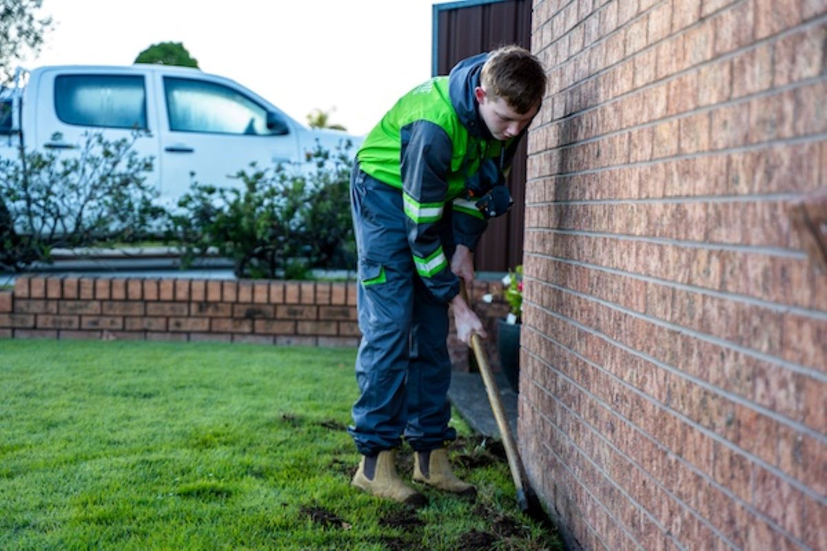 What Termite Treatment Sydney Homeowners Need Before Summer