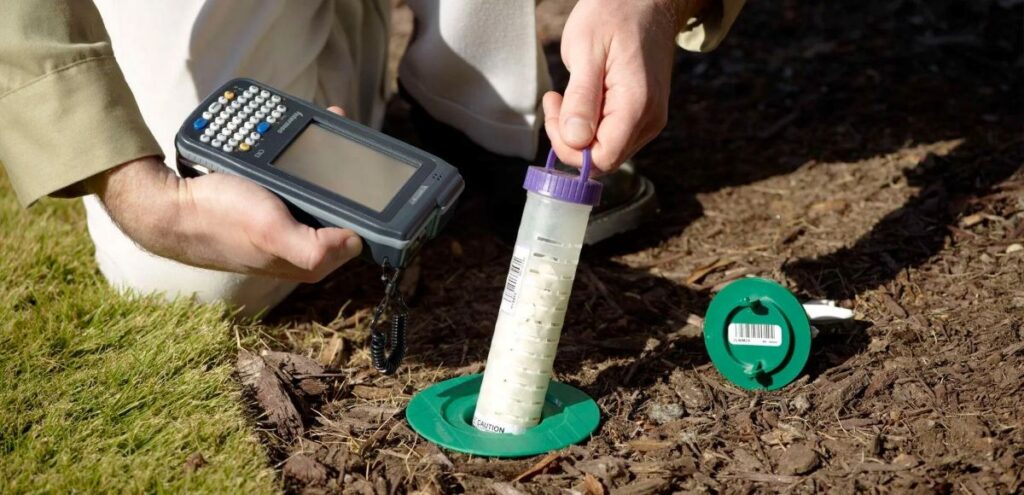 sydney termite treatment