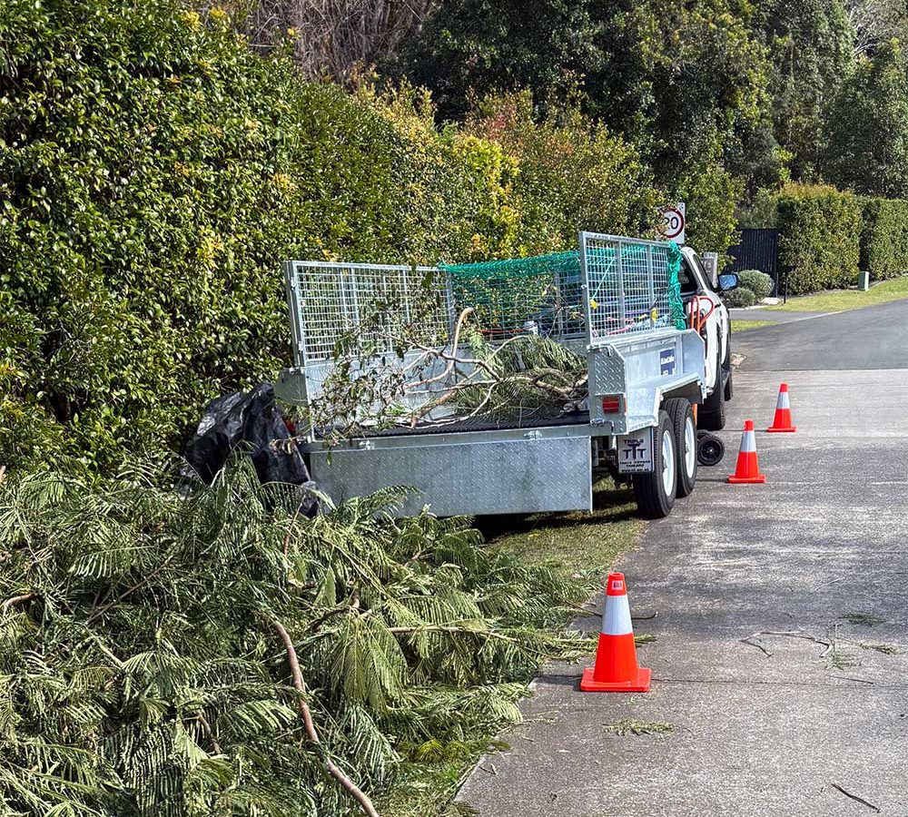 How Often Should You Book a Green Waste Removal Service?