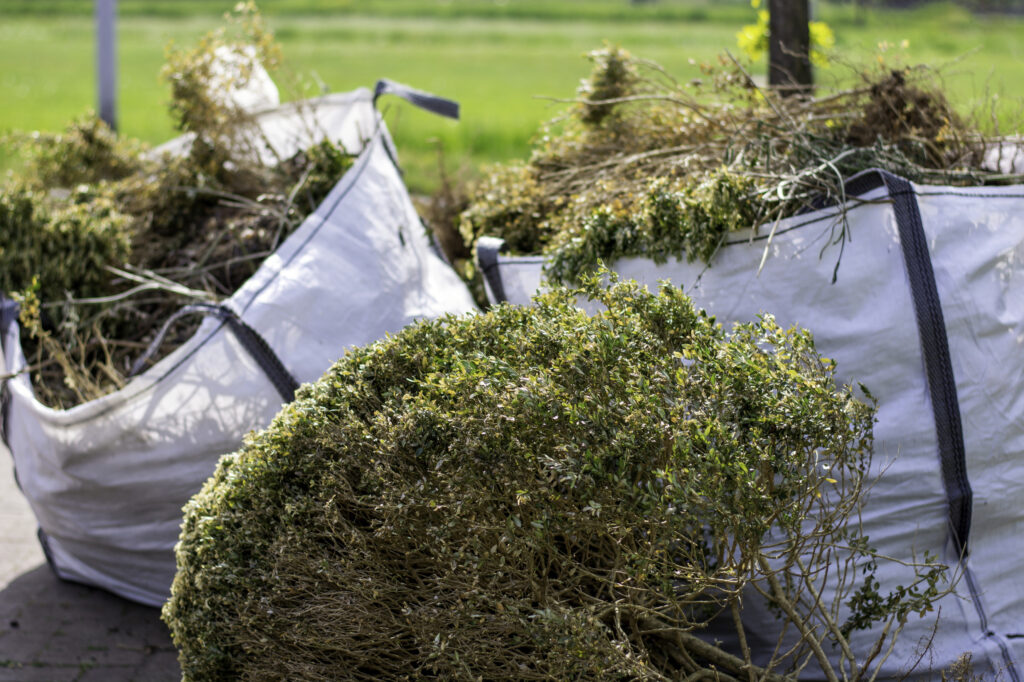 How Often Should You Book a Green Waste Removal Service?